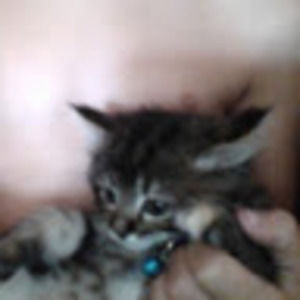 Meet your Posher, Darrell